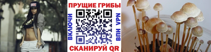 Галлюциногенные грибы ЛСД  МЕГА сайт  Бирюч 