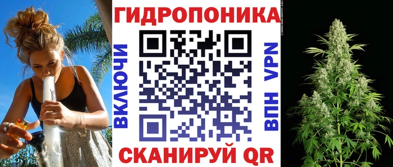 Бошки марихуана Amnesia  kraken   Бирюч 